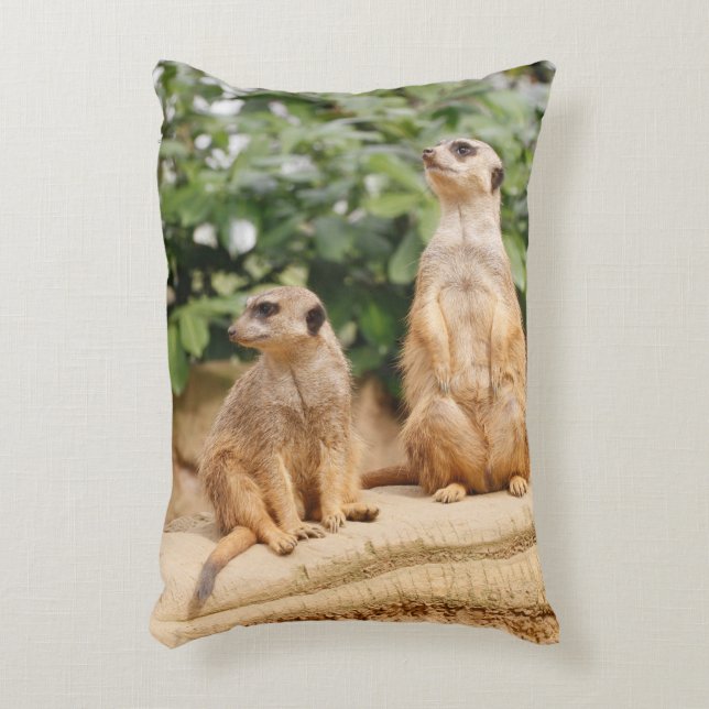 Meerkat 009 prydnadskudde (Framsidan(Vertikal))