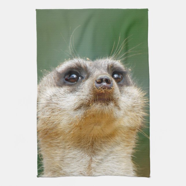 Meerkat 012 kökshandduk (Vertikal)