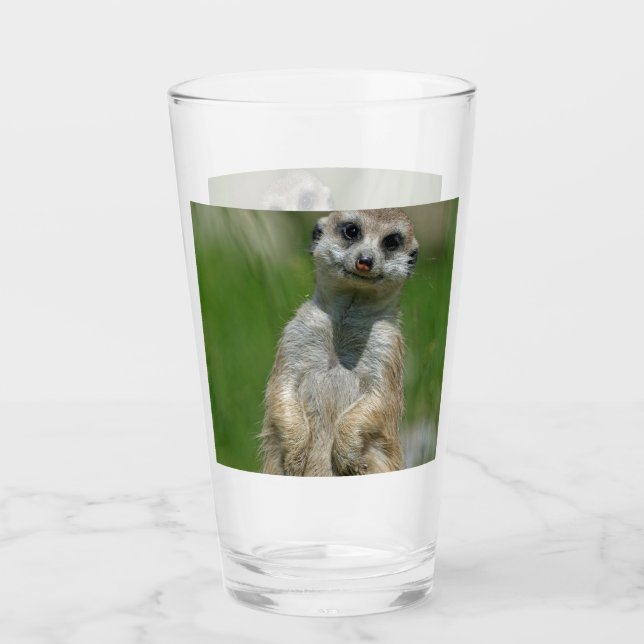 Meerkat 013 glaskopp (Framsida)