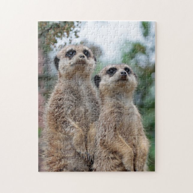 Meerkat 013 pussel (Vertikal)