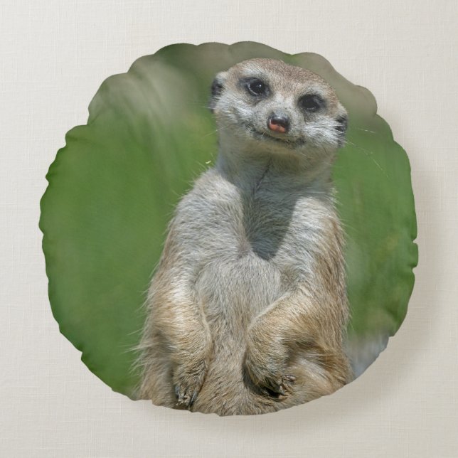 Meerkat 013 rund kudde (Framsidan)