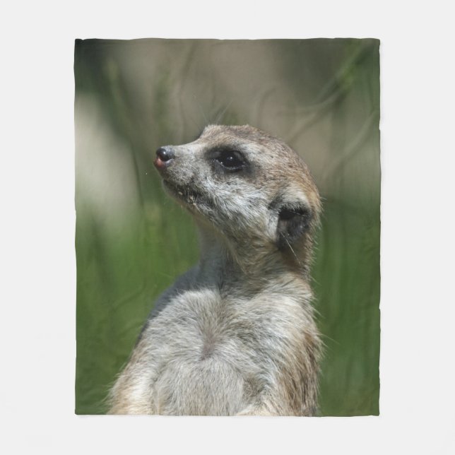 Meerkat 015 fleecefilt (Framsidan)