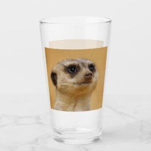 Meerkat 020 glaskopp