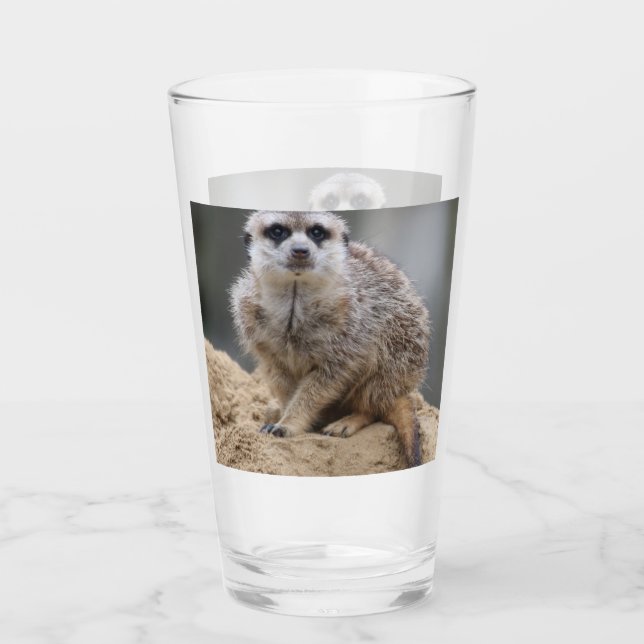 Meerkat 021 glaskopp (Framsida)