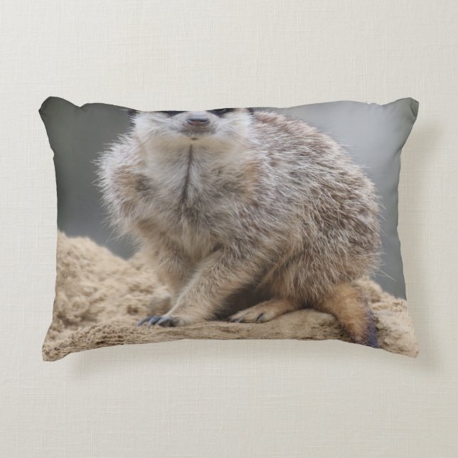 Meerkat 021 prydnadskudde (Framsidan)