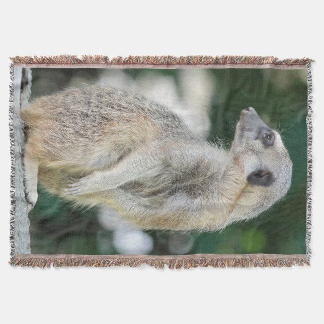 Meerkat 025 filt (Framsidan)