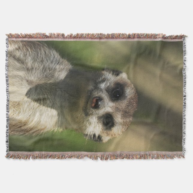Meerkat 034 filt (Framsidan)