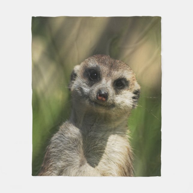 Meerkat 034 fleecefilt (Framsidan)