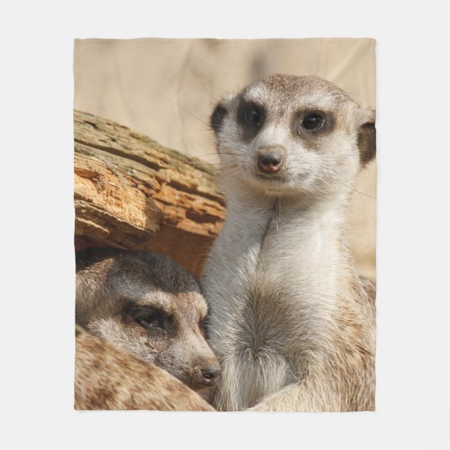 Meerkat 042 fleecefilt (Framsidan)