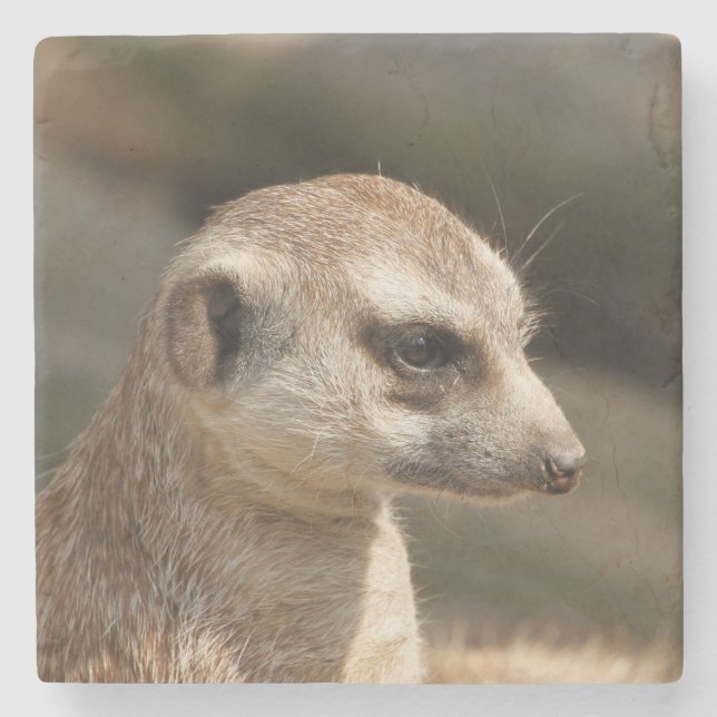 Meerkat 048 stenunderlägg (Framsidan)