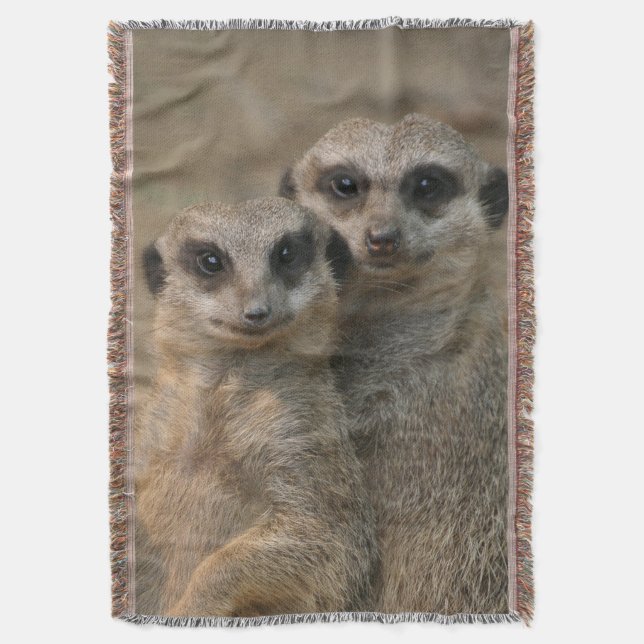 Meerkat 067 filt (Framsidan Vertikal)