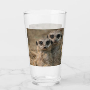 Meerkat 067 glaskopp