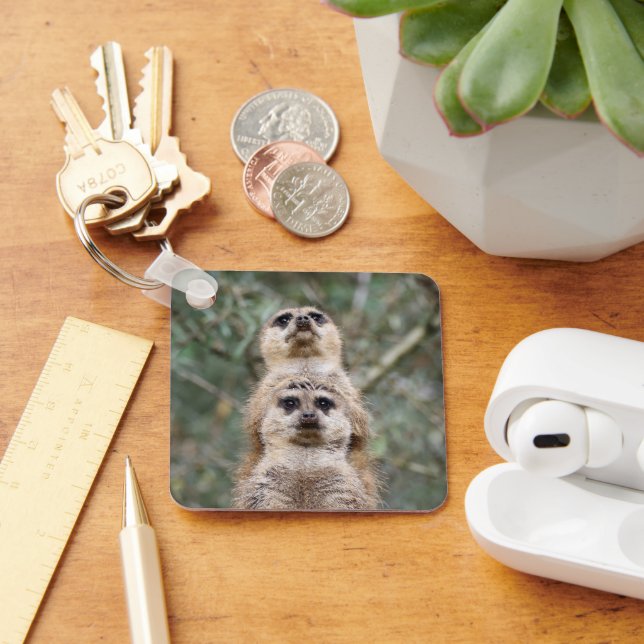 Meerkat 081 nyckelring (Skrivbord)