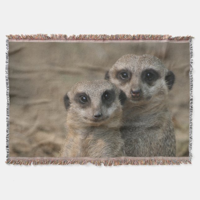 Meerkat 090 mysfilt (Framsidan)