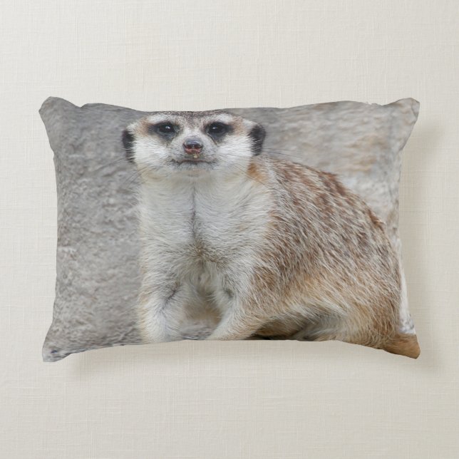 Meerkat 134 prydnadskudde (Framsidan)