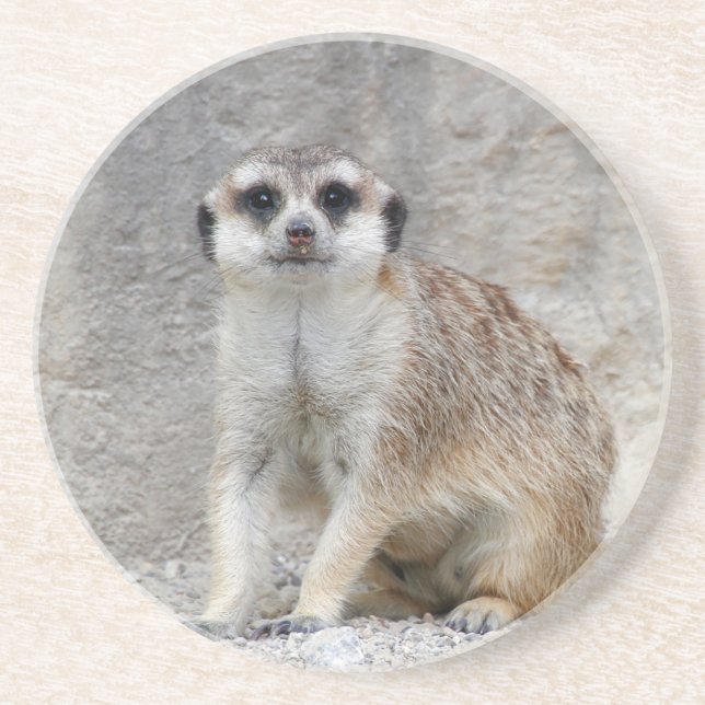 Meerkat 134 underlägg (Framsidan)