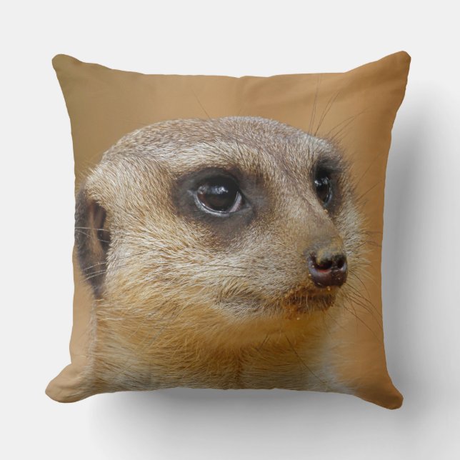 Meerkat 154 kudde (Framsida)