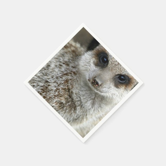 meerkat-16.jpg pappersservett (Hörn)