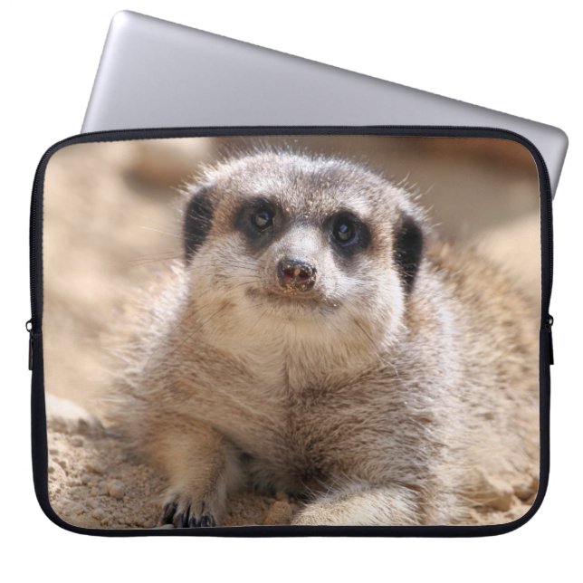 Meerkat 174 laptop fodral (Framsidan)