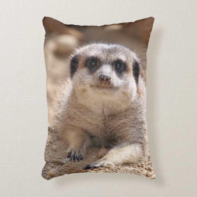 Meerkat 174 prydnadskudde (Framsidan(Vertikal))