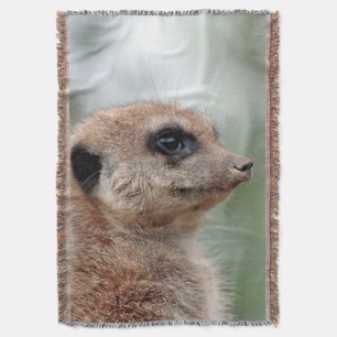 Meerkat 180 filt