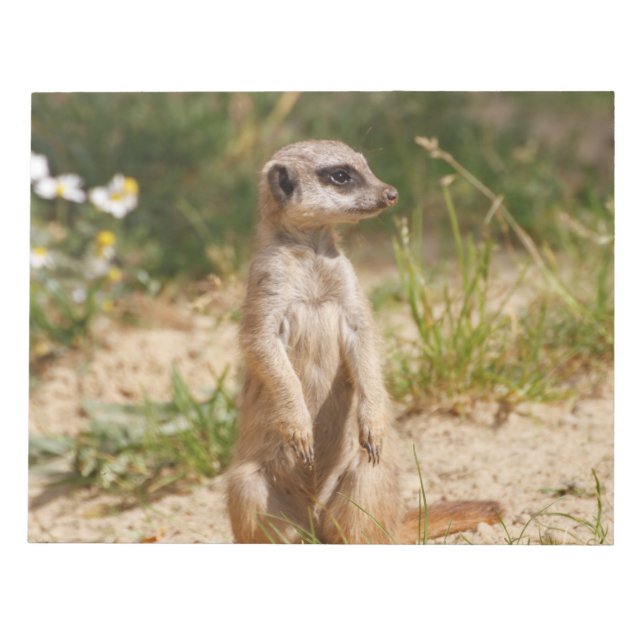 Meerkat 2014-0901 anteckningsblock (Framsida)