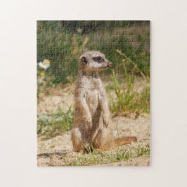 Meerkat 2014-0901 pussel