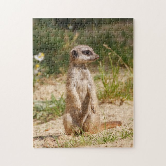 Meerkat 2014-0901 pussel (Vertikal)