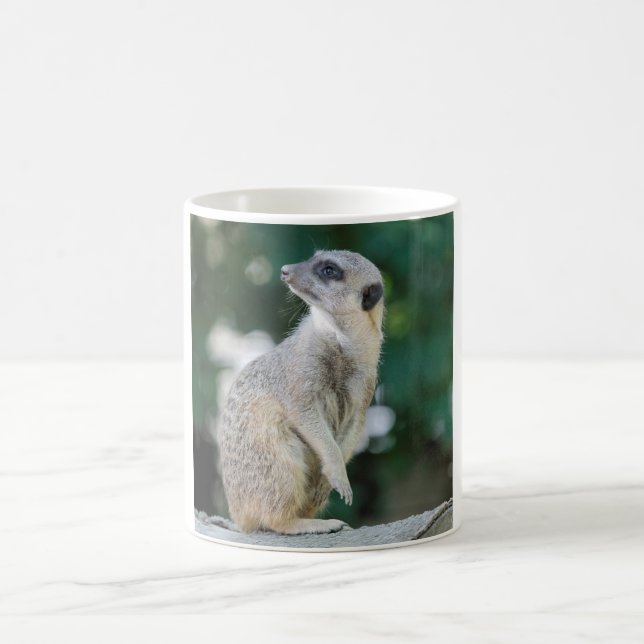 Meerkat_2015_0103 Kaffemugg (Center)