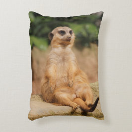 Meerkat_2015_0110 Prydnadskudde