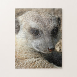 Meerkat_2015_0205 Pussel