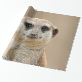 Meerkat_2015_0211 Presentpapper