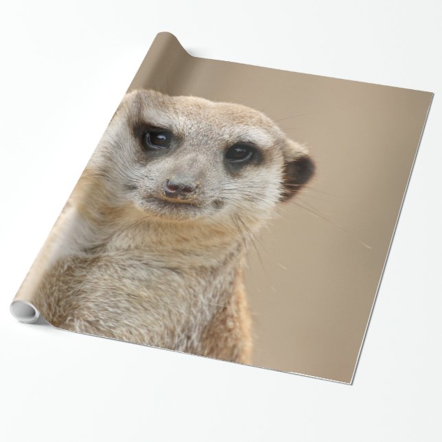 Meerkat_2015_0211 Presentpapper (Utrullad)