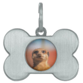 Meerkat_2015_0401 Namnbricka Husdjur