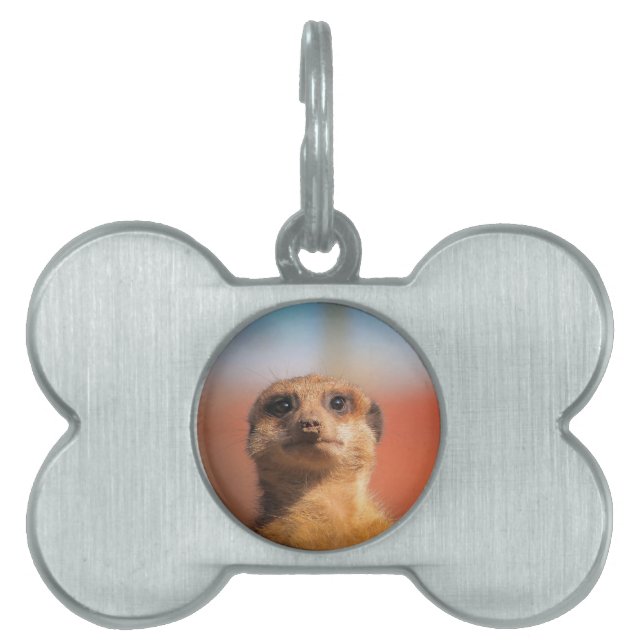 Meerkat_2015_0401 Namnbricka Husdjur (Framsidan)