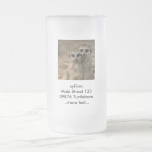 Meerkat_20170901_by_JAMFoto Frostat Ölglas