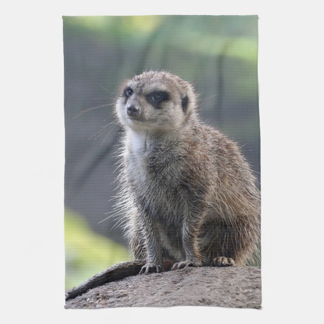 Meerkat_20171101_by_JAMFoto Kökshandduk (Vertikal)