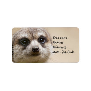 Meerkat Adressetikett