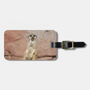 Meerkat Afrika Animal Land Pet Cute Animal Bagagebricka
