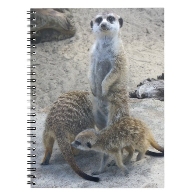 Meerkat Anteckningsbok (Framsidan)