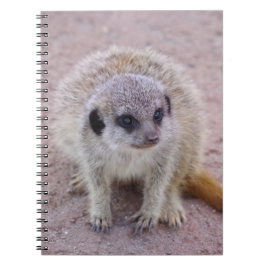 Meerkat-anteckningsbok Anteckningsbok