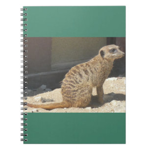 Meerkat-anteckningsbok Anteckningsbok Med Spiral