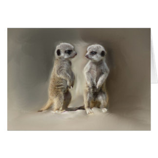 Meerkat baby twillingars hälsningskort