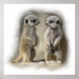 Meerkat baby twillingars poster