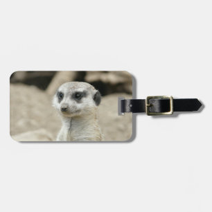 Meerkat Bagagebricka