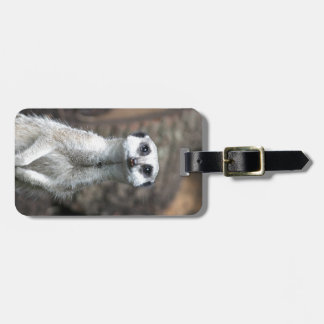 Meerkat Bagagebricka