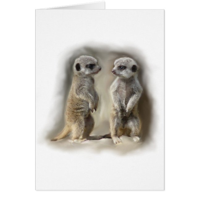 Meerkat bebistwillingar hälsningskort (Framsidan)