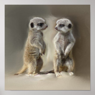 Meerkat bebistwillingar poster