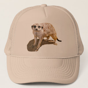 Meerkat bildtruckerkeps truckerkeps