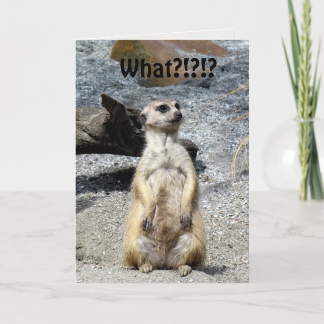 Meerkat Birthday Card Kort (Framsida)